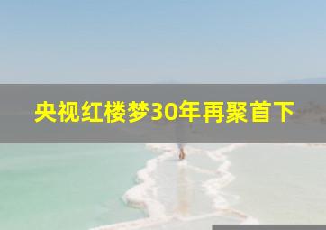 央视红楼梦30年再聚首下