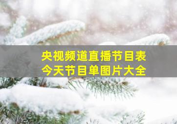 央视频道直播节目表今天节目单图片大全