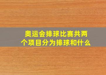 奥运会排球比赛共两个项目分为排球和什么