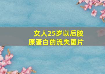 女人25岁以后胶原蛋白的流失图片