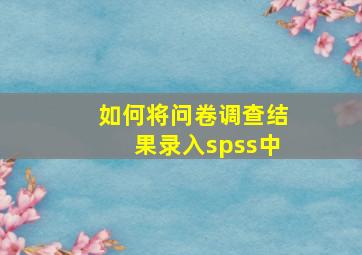 如何将问卷调查结果录入spss中