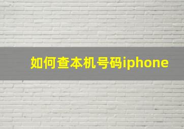 如何查本机号码iphone