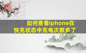 如何查看iphone在快充状态中充电次数多了