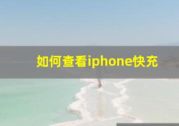 如何查看iphone快充