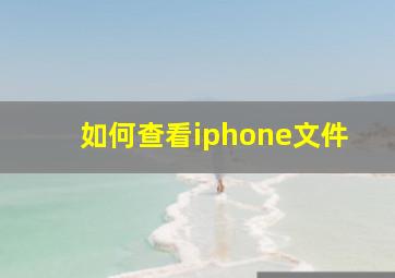 如何查看iphone文件