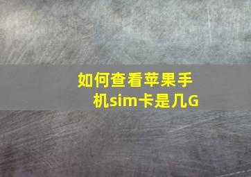 如何查看苹果手机sim卡是几G