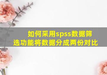 如何采用spss数据筛选功能将数据分成两份对比