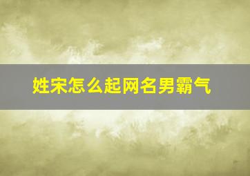 姓宋怎么起网名男霸气