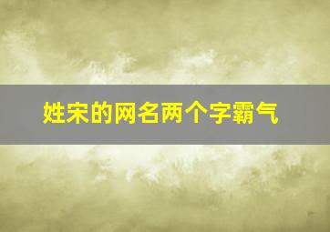 姓宋的网名两个字霸气