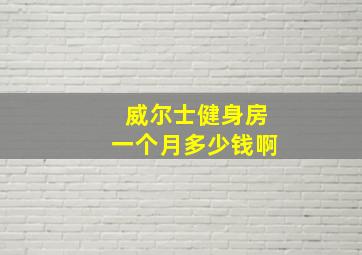 威尔士健身房一个月多少钱啊