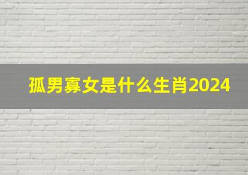 孤男寡女是什么生肖2024