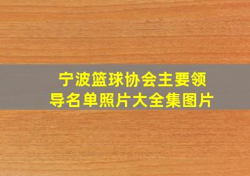 宁波篮球协会主要领导名单照片大全集图片