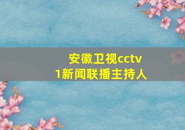 安徽卫视cctv1新闻联播主持人