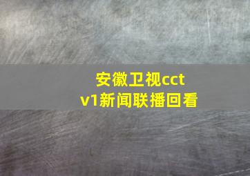 安徽卫视cctv1新闻联播回看