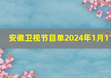 安徽卫视节目单2024年1月11