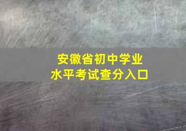 安徽省初中学业水平考试查分入口