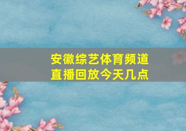 安徽综艺体育频道直播回放今天几点