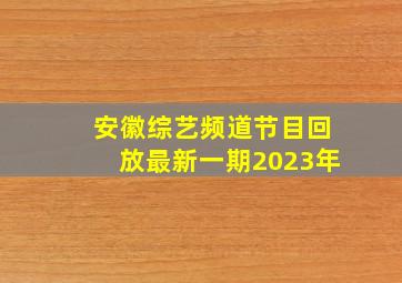 安徽综艺频道节目回放最新一期2023年