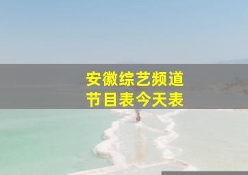 安徽综艺频道节目表今天表