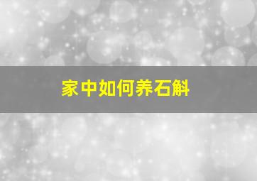 家中如何养石斛