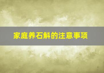 家庭养石斛的注意事项