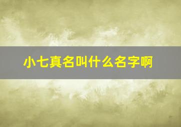 小七真名叫什么名字啊