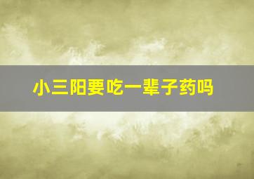 小三阳要吃一辈子药吗