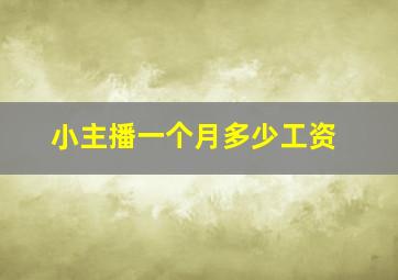 小主播一个月多少工资