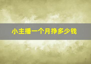 小主播一个月挣多少钱