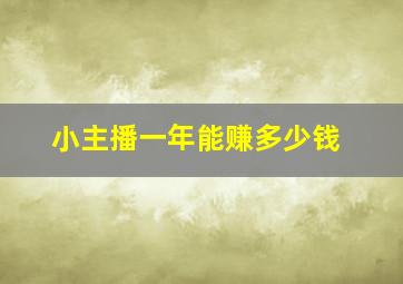 小主播一年能赚多少钱