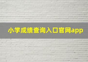 小学成绩查询入口官网app