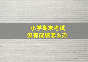 小学期末考试没有成绩怎么办