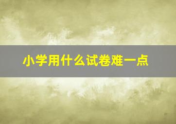 小学用什么试卷难一点