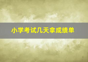 小学考试几天拿成绩单