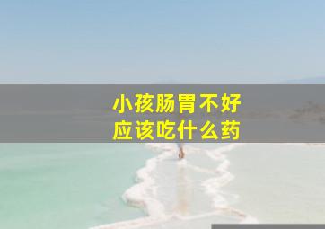 小孩肠胃不好应该吃什么药