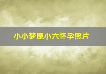 小小梦魇小六怀孕照片