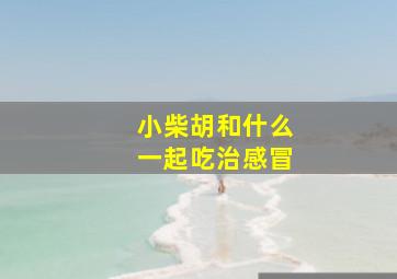 小柴胡和什么一起吃治感冒