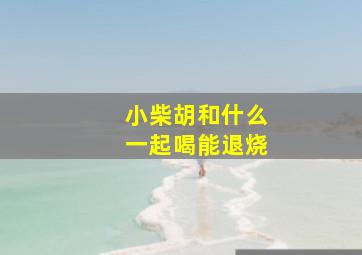 小柴胡和什么一起喝能退烧