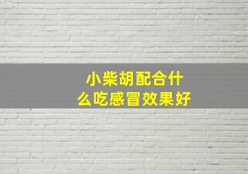 小柴胡配合什么吃感冒效果好