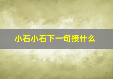 小石小石下一句接什么