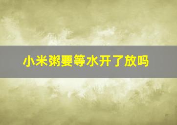 小米粥要等水开了放吗