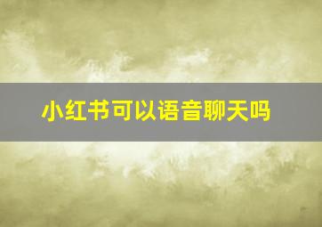 小红书可以语音聊天吗