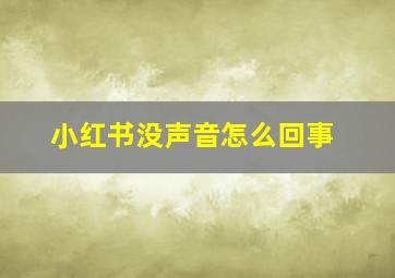 小红书没声音怎么回事