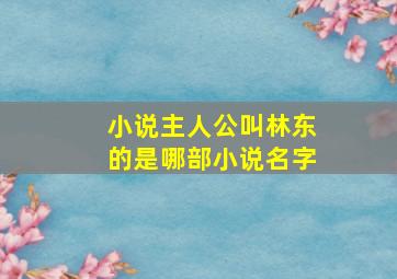 小说主人公叫林东的是哪部小说名字