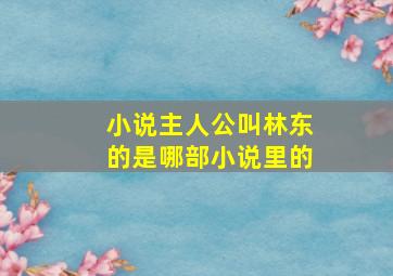 小说主人公叫林东的是哪部小说里的