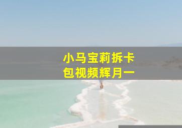 小马宝莉拆卡包视频辉月一