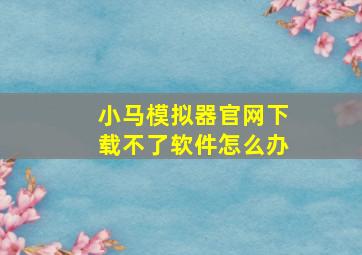 小马模拟器官网下载不了软件怎么办