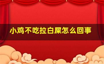 小鸡不吃拉白屎怎么回事