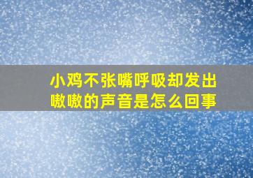 小鸡不张嘴呼吸却发出嗷嗷的声音是怎么回事