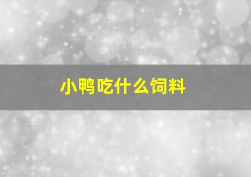 小鸭吃什么饲料